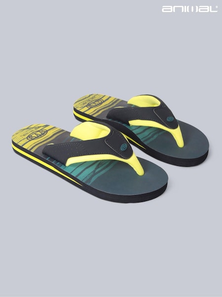 Animal Blue Kids Jekyl Flip-Flops (B00128) | €30