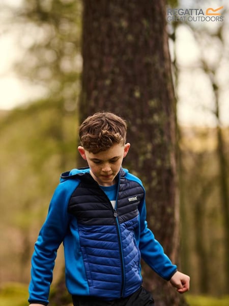 Sininen Tumma - Regatta Kielder Hybrid VIII Stretch Hooded Jacket (B02204) | €55
