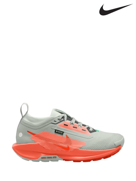 Nike Orange/Grey Pegasus Trail 5 GORETEX Waterproof Trail Running Trainers (B04379) | €96