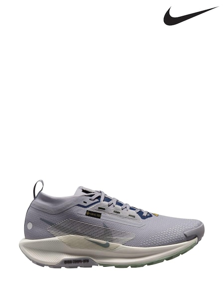 Nike Grey/Blue Pegasus Trail 5 GORETEX Running Trainers (B07307) | €191