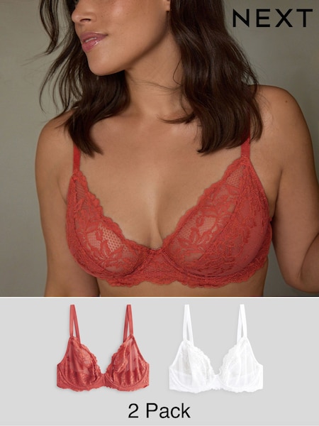 Белый/ржавчина - DD+ Lace Bras 2 Pack (B07909) | €33