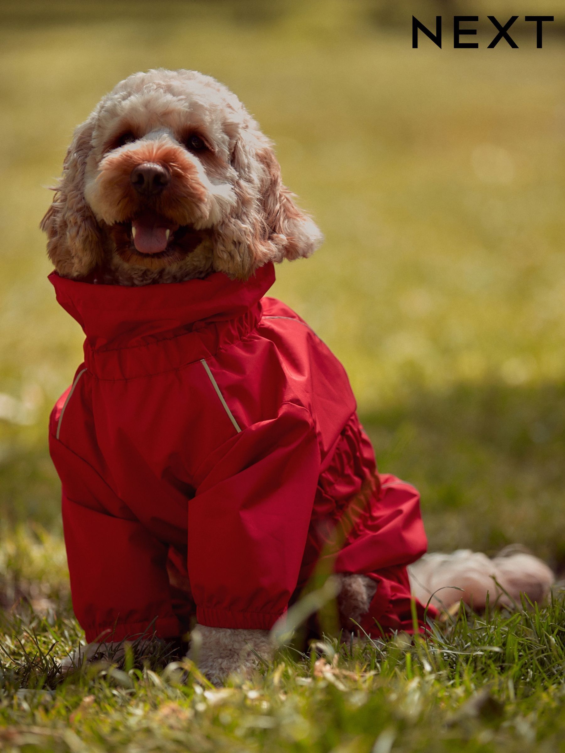 Summer dog coats cheap