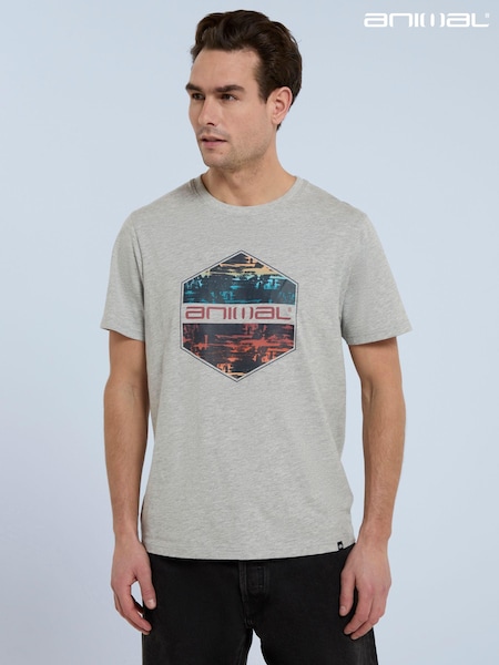 Animal Grey Mens Jacob Logo T-Shirt (B16364) | €16
