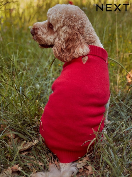 Red Dog Jumper (B17666) | €20.50 - €30