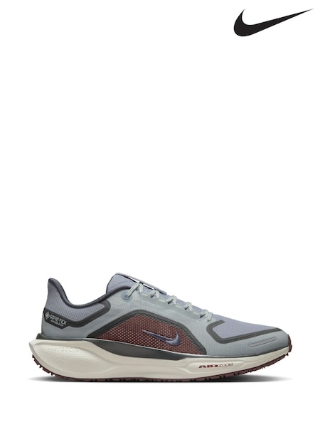 Nike Grey/White Pegasus 41 GORE-TEX Trail Running Trainers (B23380) | €208