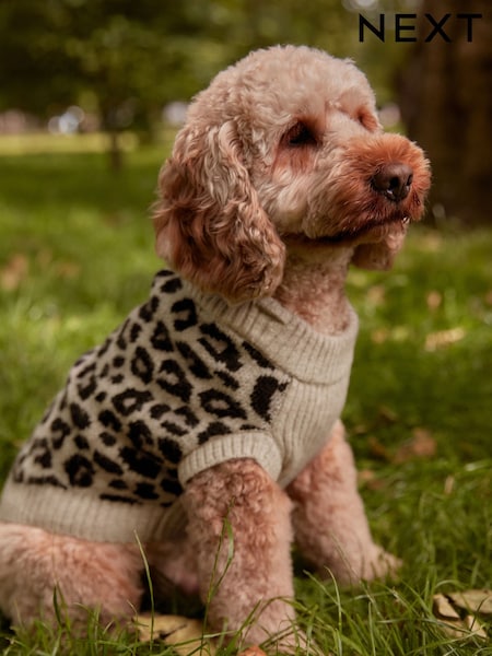 Neutral Brown Animal Dog Jumper (B25941) | AED37 - AED55