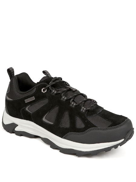 Pavers Black Lace Up Leather Trainers (B27369) | 310 zł