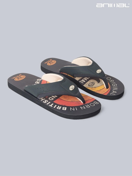Animal Orange/Grey Mens Jekyl Flip Flops (B34604) | R$ 285