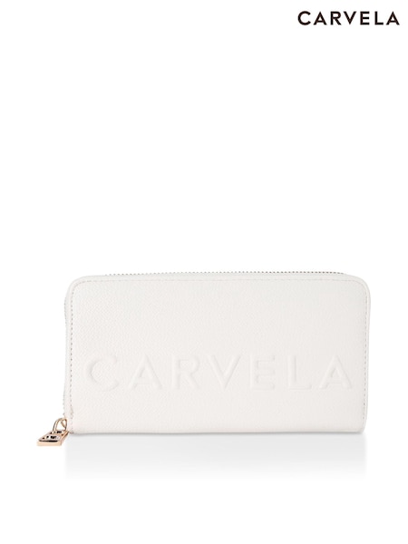 Carvela Frame Purse (B36115) | AZN 123