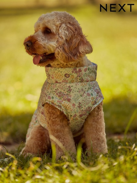 Quilt Dog Coat (B39709) | ‏39 ر.ق. - ‏49 ر.ق.