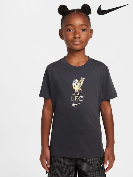 Nike Liverpool FC Crest Graphic T-Shirt (B42960) | €13