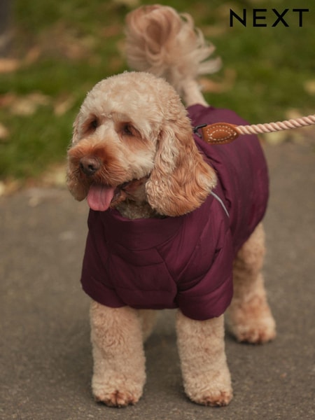 Berry Red Padded Dog Coat (B46989) | €7 - €9