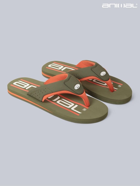 Animal Khaki Green Mens Jekyl Flip Flops (B51726) | R$ 285