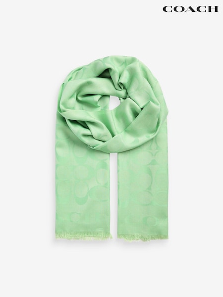 Green Fiorelli Mimi Scarves (B52100) | €89