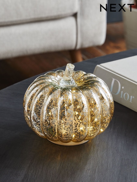 Silver Pumpkin Feature Light (B57900) | €28
