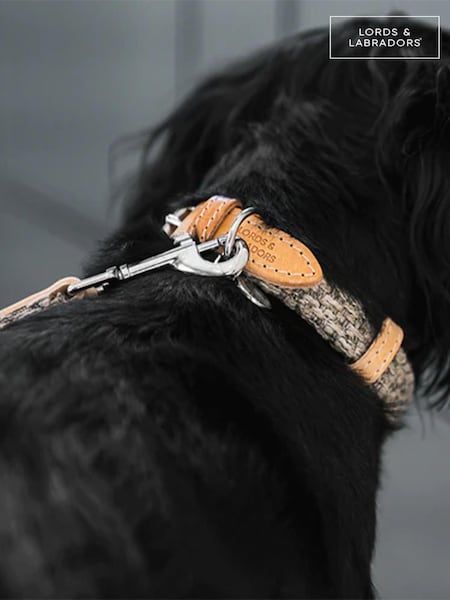 Lords and Labradors Pebble Essentials Herdwick Dog Lead (B57960) | AZN 63 - AZN 75