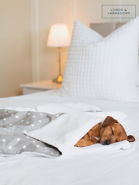 Lords and Labradors 100% Cotton Pet Blanket (B58932) | € 54 - € 69