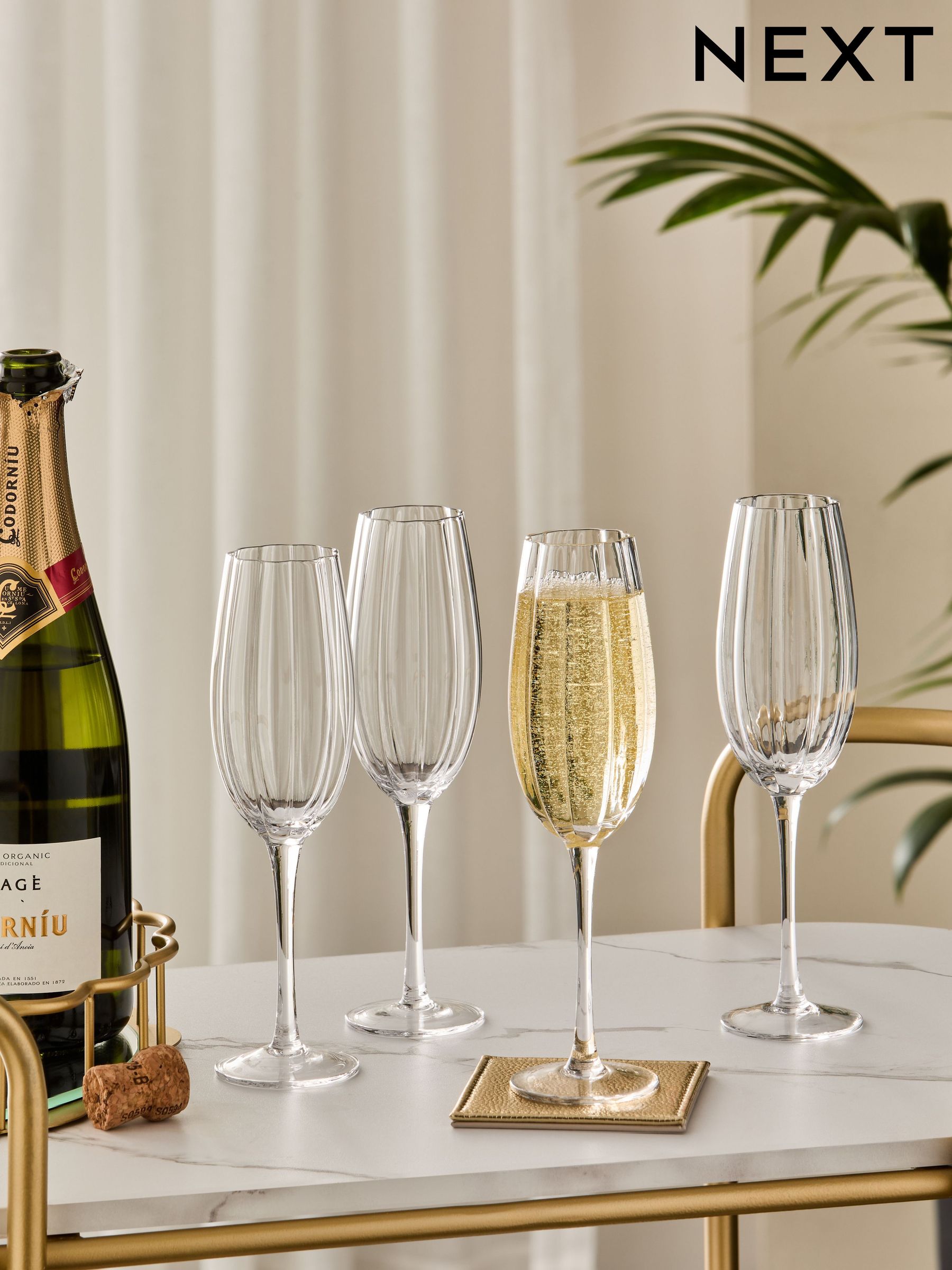 Next champagne glasses 2025