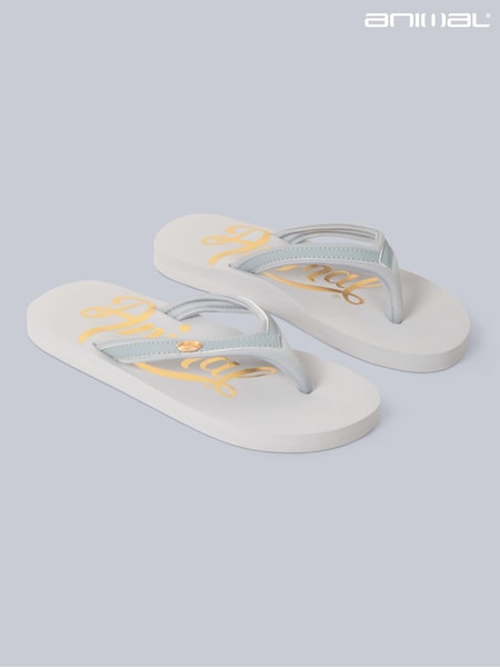 Animal Grey Womens Swish Flip Flops (B61544) | R$ 315