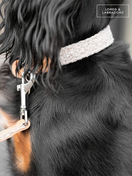 Lords and Labradors Sandstone Essentials Herdwick Dog Lead (B61631) | € 39 - € 47