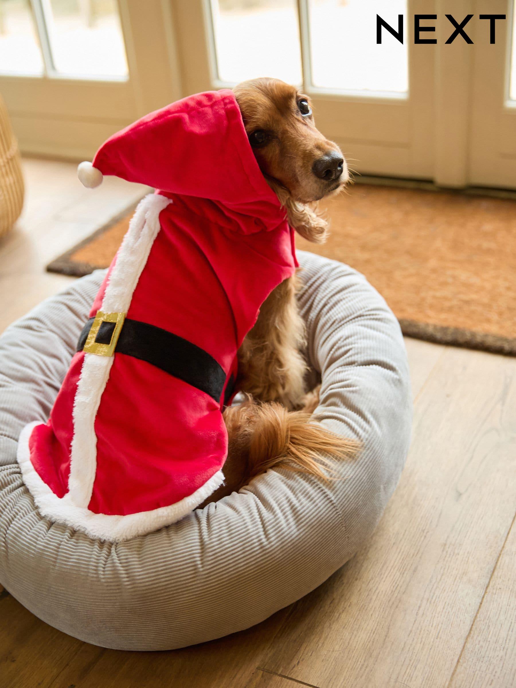 Pet Accessories Dog Cat Jumpers Beds Mats Next Ireland