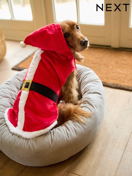 Santa Cow Pet Fancy Dress Costume (B63095) | €18
