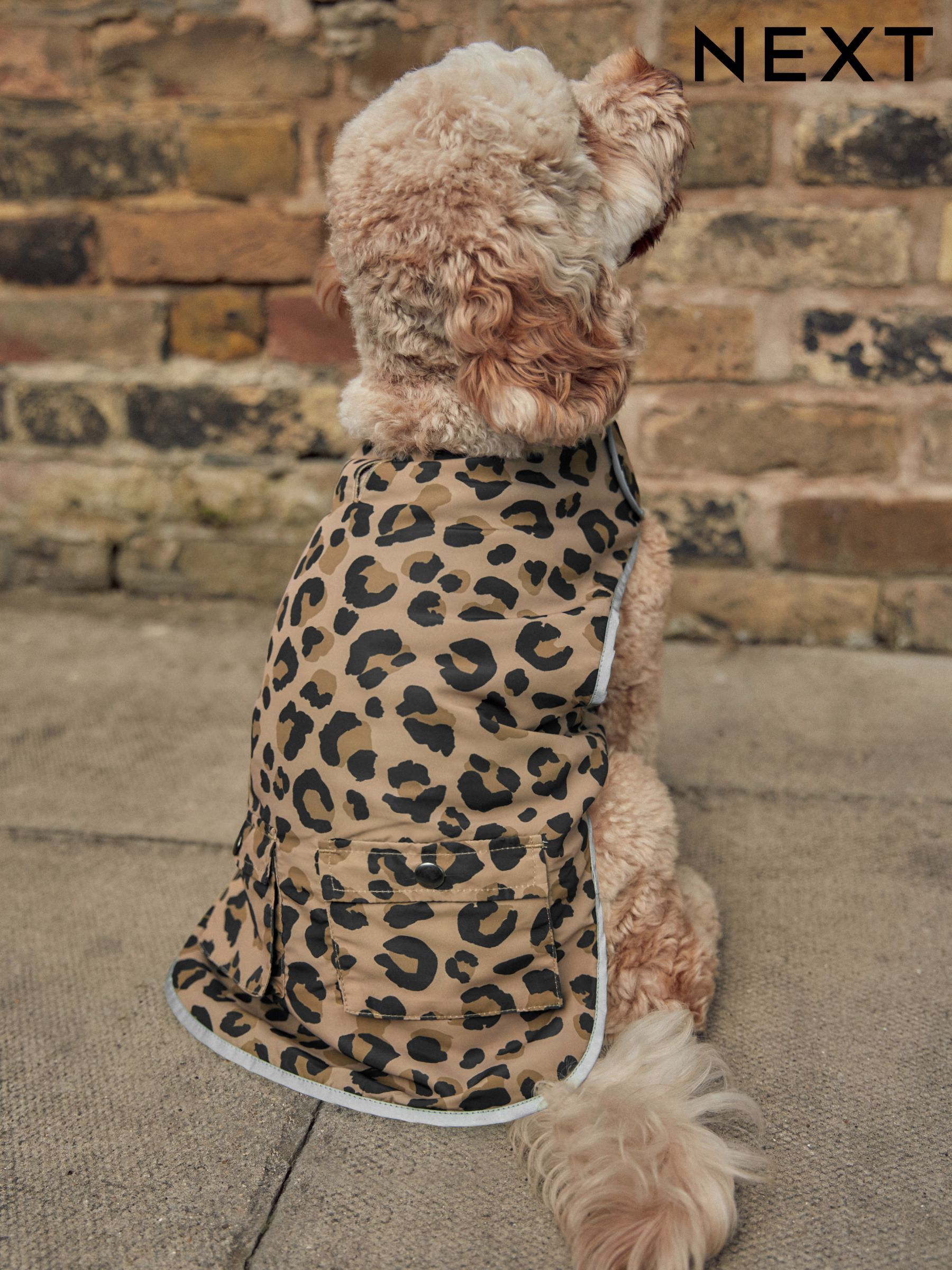 Summer dog coats outlet
