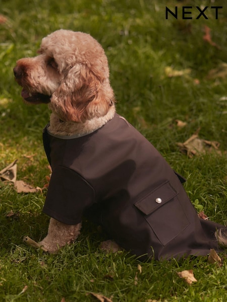Chocolate Brown Rubber Dog Coat (B65724) | €6 - €8