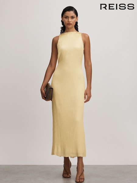 Anna Quan Plisse Raw Hem Maxi Dress (B71703) | €888