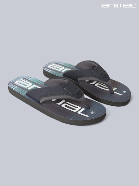 Animal Charcoal Grey Mens Jekyl Flip Flops (B72700) | R$ 285