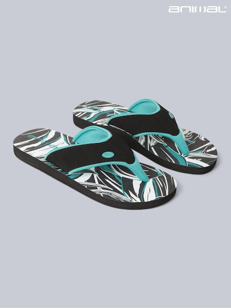 Albastru întuneric - Animal Womens Swish Flip Flops (B81775) | 98 LEI