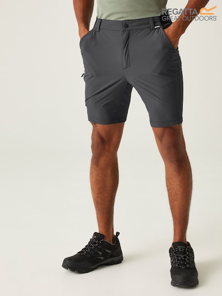 Regatta Grey Men's Travel Light Packaway Shorts (B85936) | €78