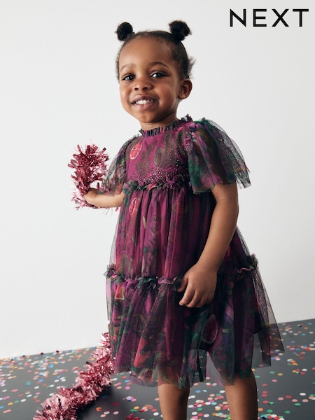 Plum Purple Printed Mesh Party Dress (3mths-7yrs) (B86784) | €21 - €25