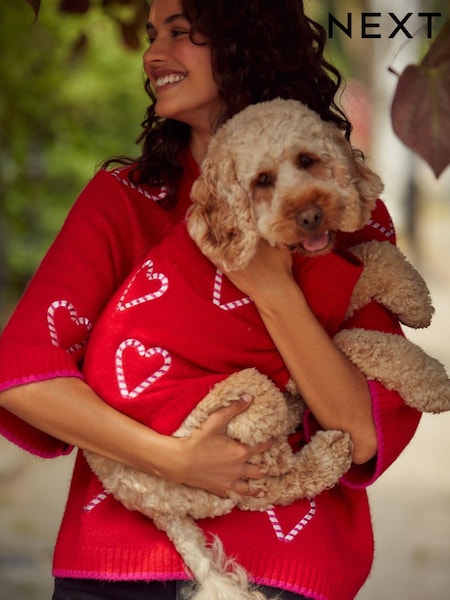 Red Candy Cane Heart Christmas Dog Jumper (B94863) | AED58 - AED84