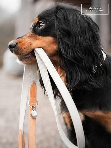 Lords and Labradors Linen Essentials Twill Dog Lead (B97432) | € 39 - € 47