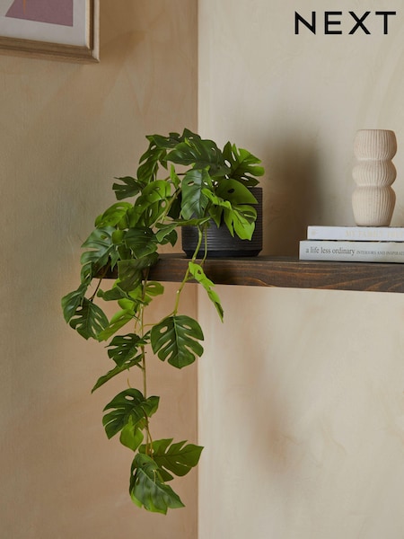 Green Artificial Trailing Monstera Plant (BEX470) | €31