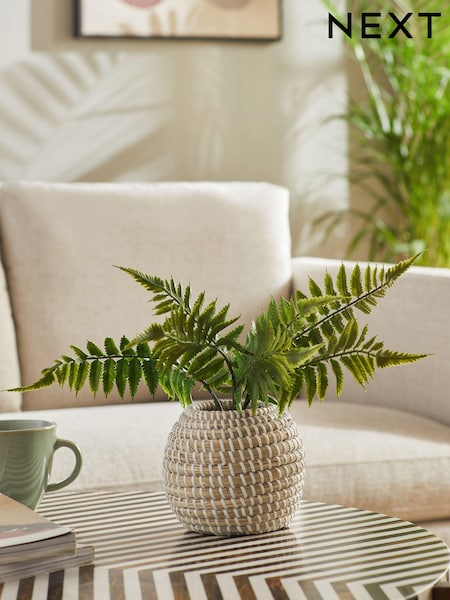 Green Artificial Fern in Woven Pot (BKB620) | €25