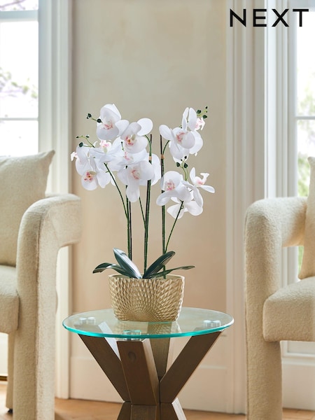 Artificial Real Touch Orchid in Geo Pot (BTR954) | NT$1,270