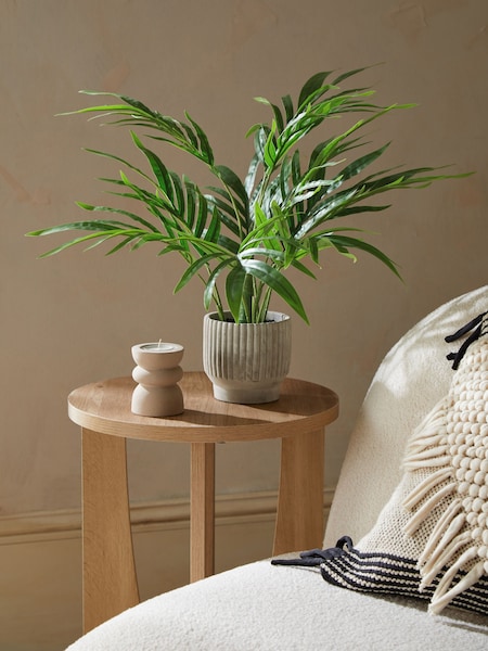 Green Artificial Mini Kentia Palm Plant In Ribbed Concrete Pot (C31139) | €31