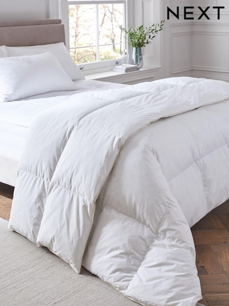 Goose Feather & Down Duvet (C52235) | € 78 - € 113