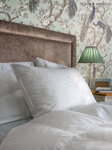 Laura Ashley White Superior Goose 100% Cotton Feather And Down Pillow (C72523) | €100