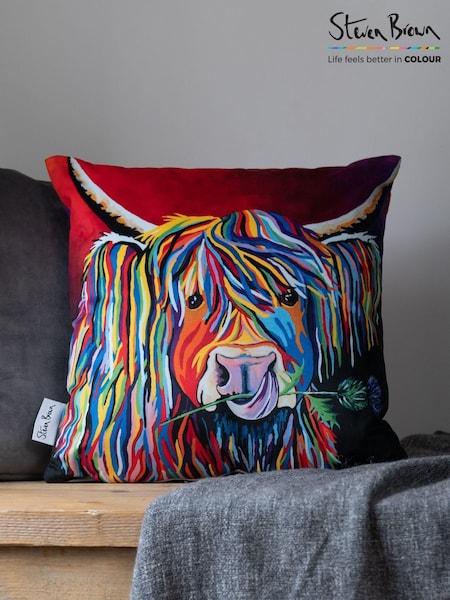 Steven Brown Art Lizzie Mccoo 45cm Cushion (C77351) | 220 zł