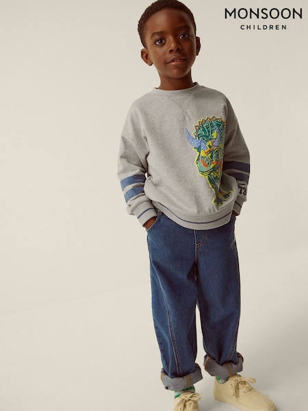 Մոխրագույն - Monsoon Triceratops Graphic Sweatshirt