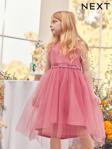 Rose Pink Mesh Tie Back Party Dress (3-16yrs) (C90974) | €26 - €32