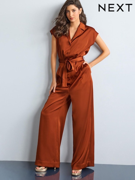 Brown Satin Belted Wide Leg Jumpsuit (D09912) | €27