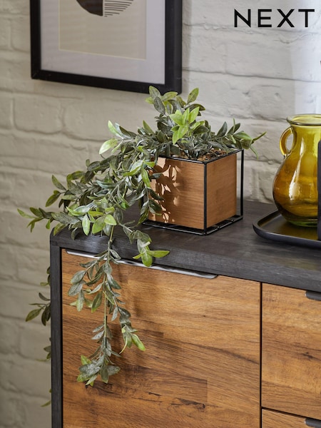 Green Artificial Bronx Trailing Plant (D48502) | €27