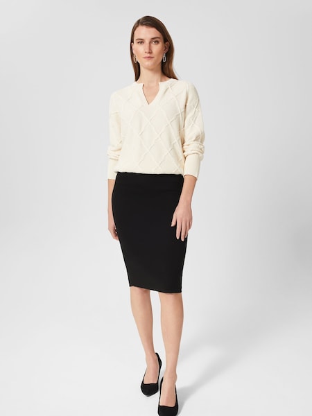 Hobbs Regular Fit Mel Skirt (D78465) | ‏448‏₪