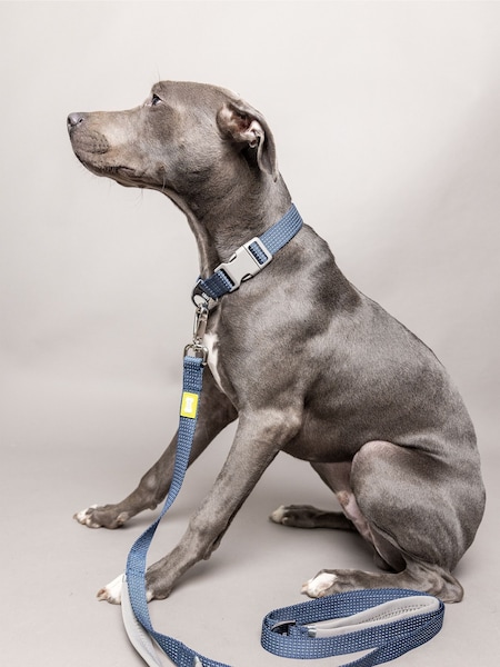 BUILT Blue Pet NightSafe™ Double Handled Large Dog Lead (D78695) | €44