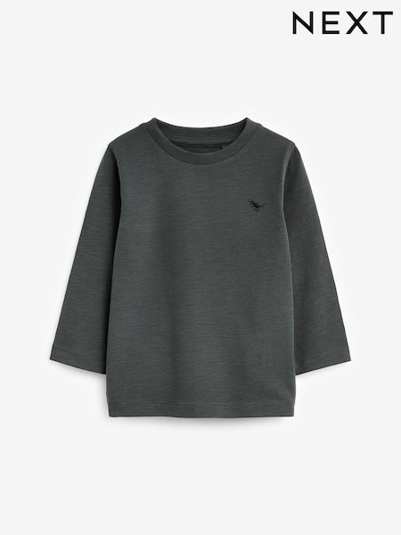 Charcoal Grey Long Sleeve Plain T-Shirt (3mths-7yrs) (D80462) | €6 - €9