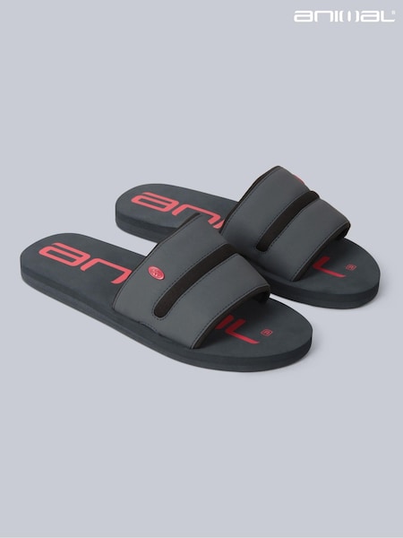 Animal Charcoal Grey Wave Sliders (E06440) | R$ 315